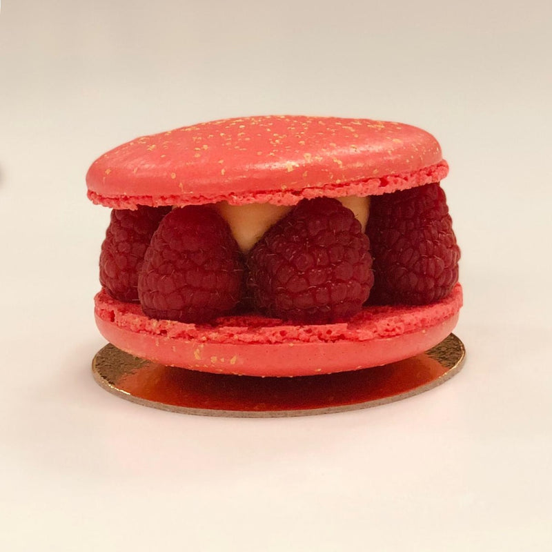 Large Vanilla Macaron for Collection